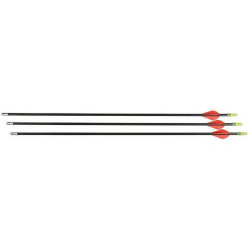 Allen Company 28  Fiberglass Youth Arrow