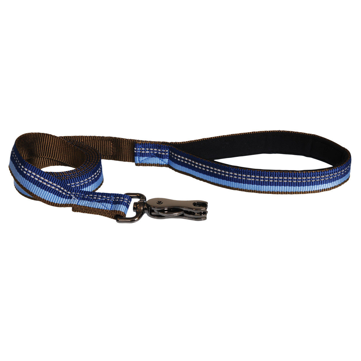 Co36909 1 In. Reflective Leash - Sapphire Blue