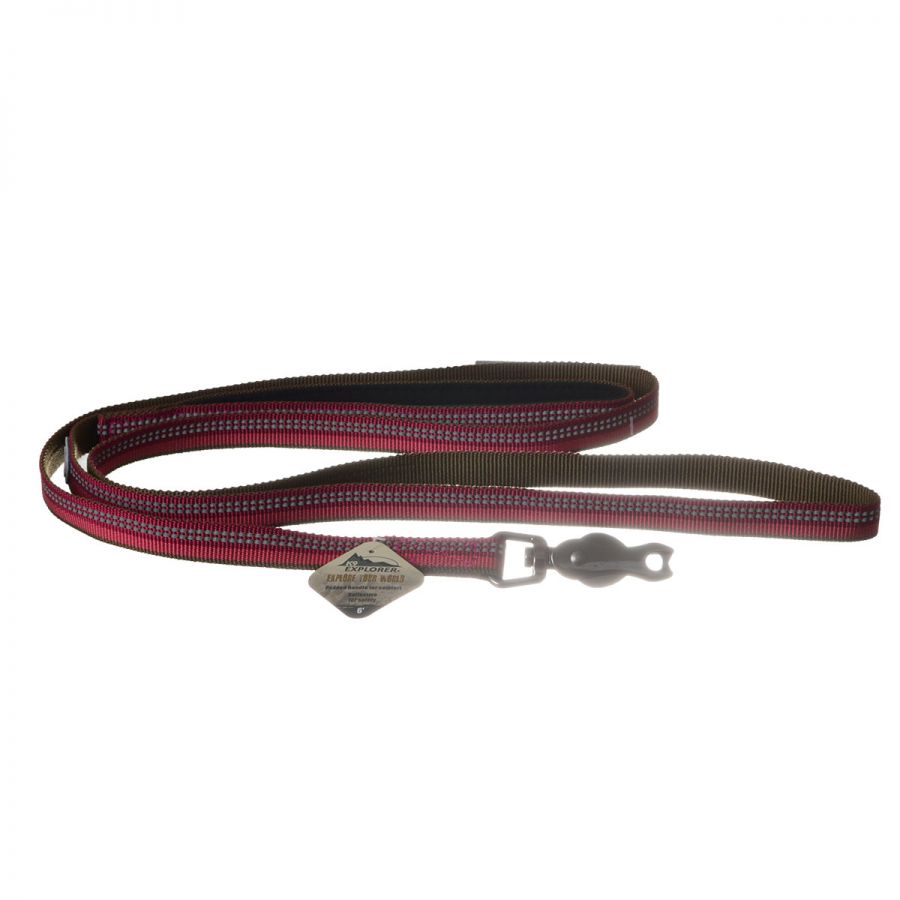 Co36406 0.62 In. Reflective Leash - Berry Purple