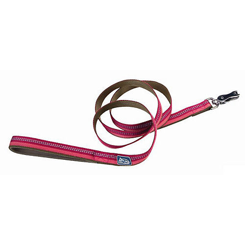 Co36906 1 In. Reflective Leash - Berry Purple