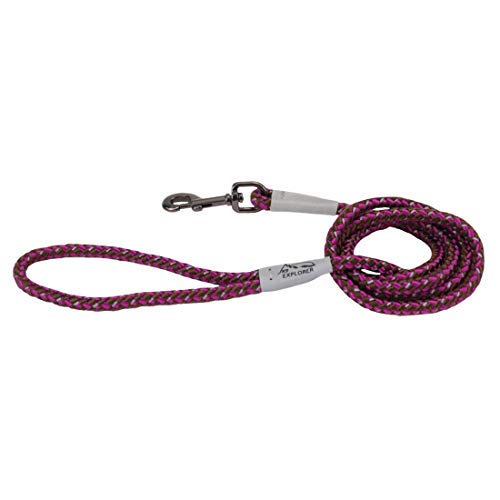 K9 Explorer Reflective Braided Rope Snap Dog Leash, Orchid