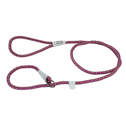 K9 Explorer Reflective Braided Rope Slip Dog Leash, Orchid