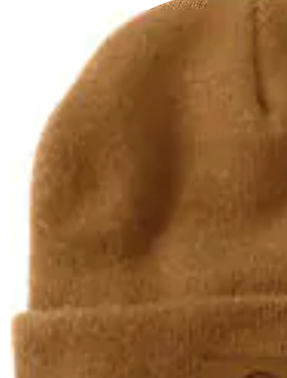 Carhartt Tonal Patch Beanie Men's