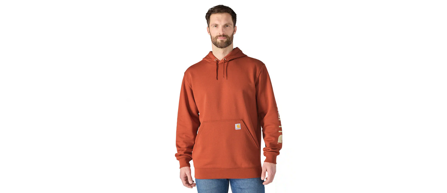 Carhartt Loose Fit Midweight Logo Sleeve Graphic Hoodie Men's