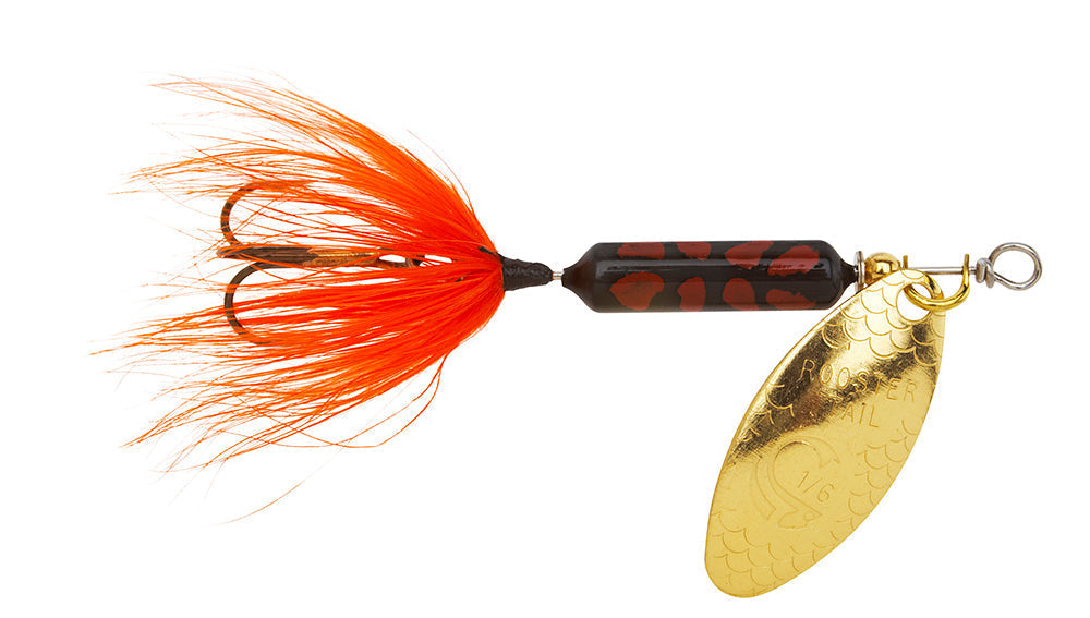 Worden's Original Rooster Tail 1/6