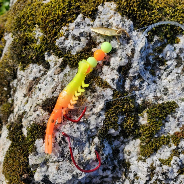 Lured Micro Shrimp