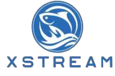 XStream 6 Bead Chain 25 Pack
